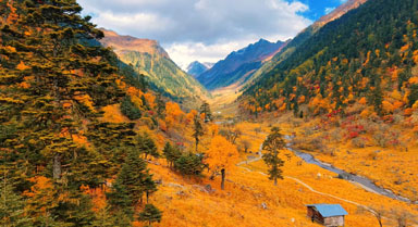 雲(yún)南怒江塞瓦龍巴牧場山林盡披絢彩