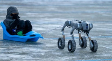 鏡頭裡的冬日哈爾濱